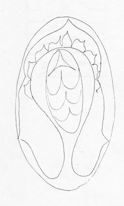 K.V. Haridasan (Artist), Drawing, Drawing