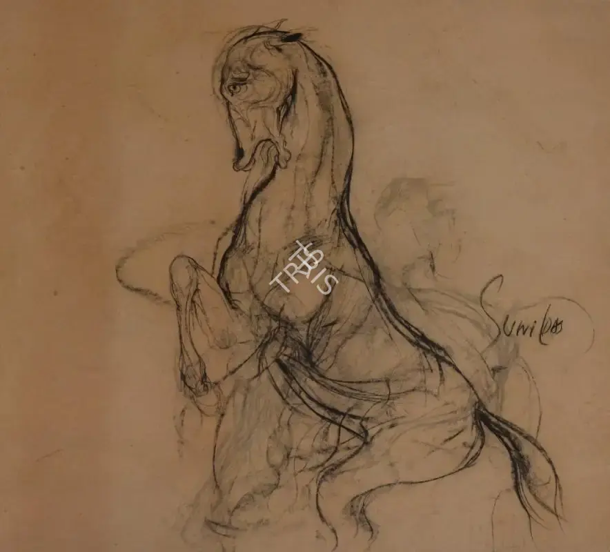 Sunil Das (Artist), Rearing Horse, Drawing