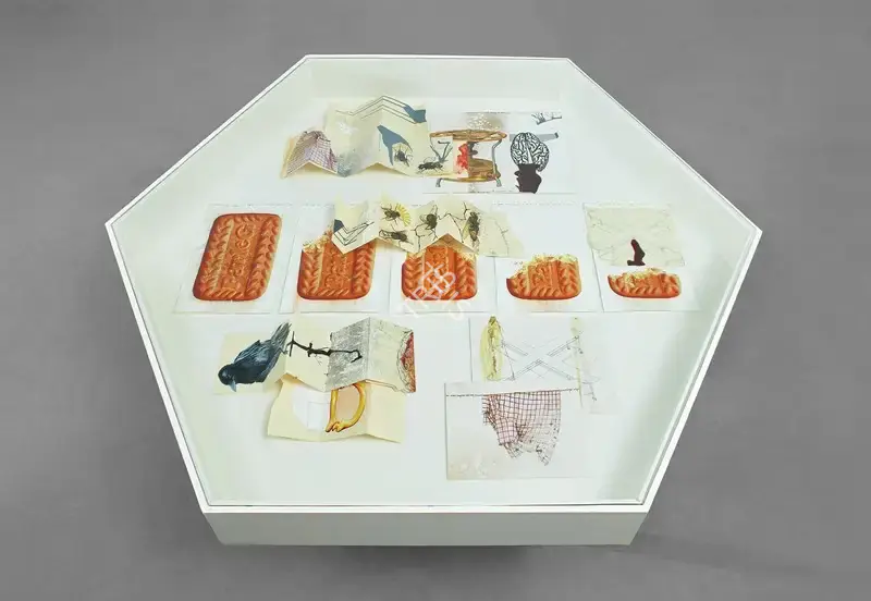 Jitish Kallat (Artist), Afterword (versions of a disappearing act), 2011, Collage