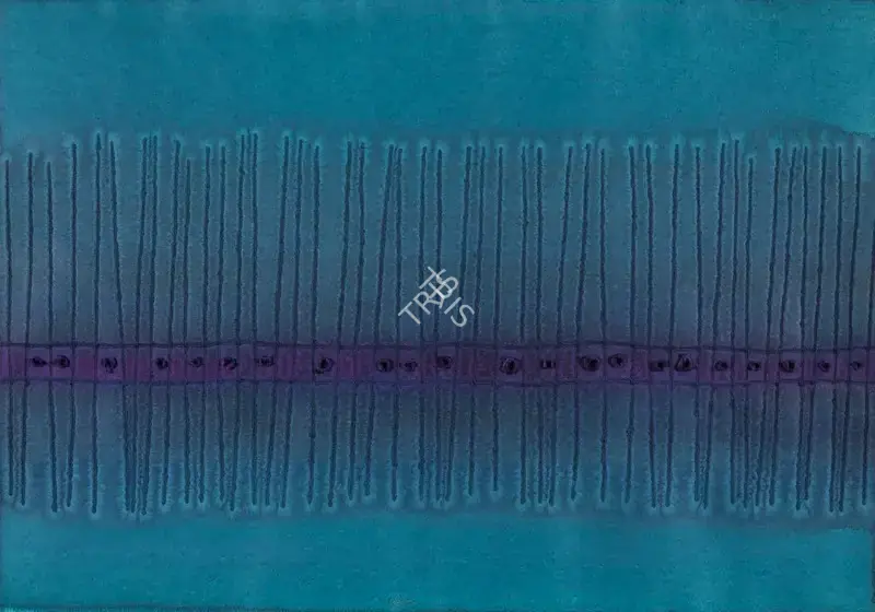 Sohan Qadri (Artist), Untitled (Blue and Purple), 2003, Painting