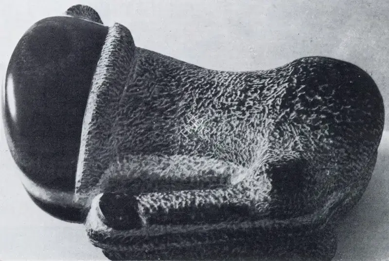 Nagji Patel (Artist), Animal, 1974, Sculpture