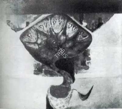 A.C.K. Raja (Artist), Snake, Painting