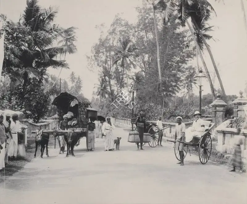 Unknown (Photographer), Untitled, 1901, Antiquarian Photograph
