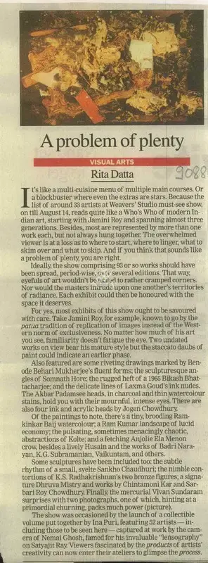Rita Datta (Reporter), A Problem of Plenty, 2010, Newspaper Clipping