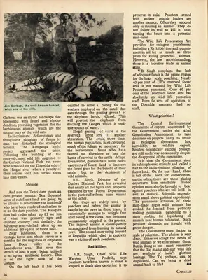 Achal Mehra (Essayist), Man-Eaters are Man-Made, 1979, Essay