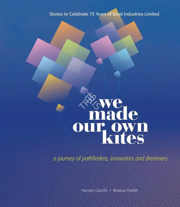 Nandini Gandhi (Author), We Made Our Own Kites, 2019, Authored Book