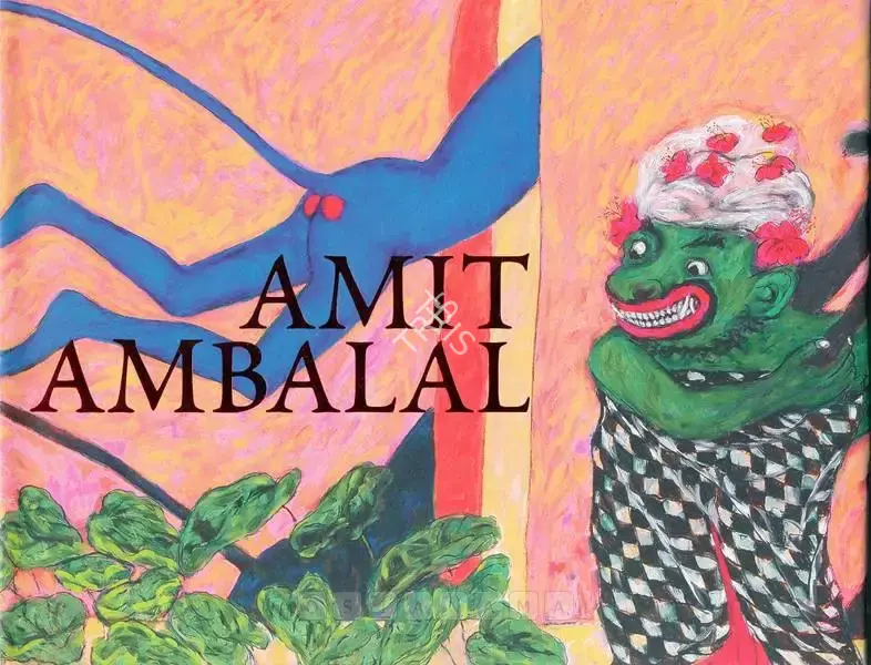 Amit Ambalal (Artist), Amit Ambalal, 2008, Solo Exhibition Catalogue