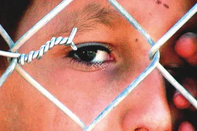 Carolina Rivas (Director), The Color of Olives, 2006, Photographic Still