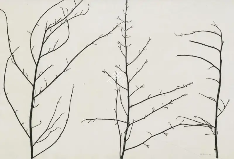 Zarina Hashmi (Artist), Untitled, 1971, Graphic Art