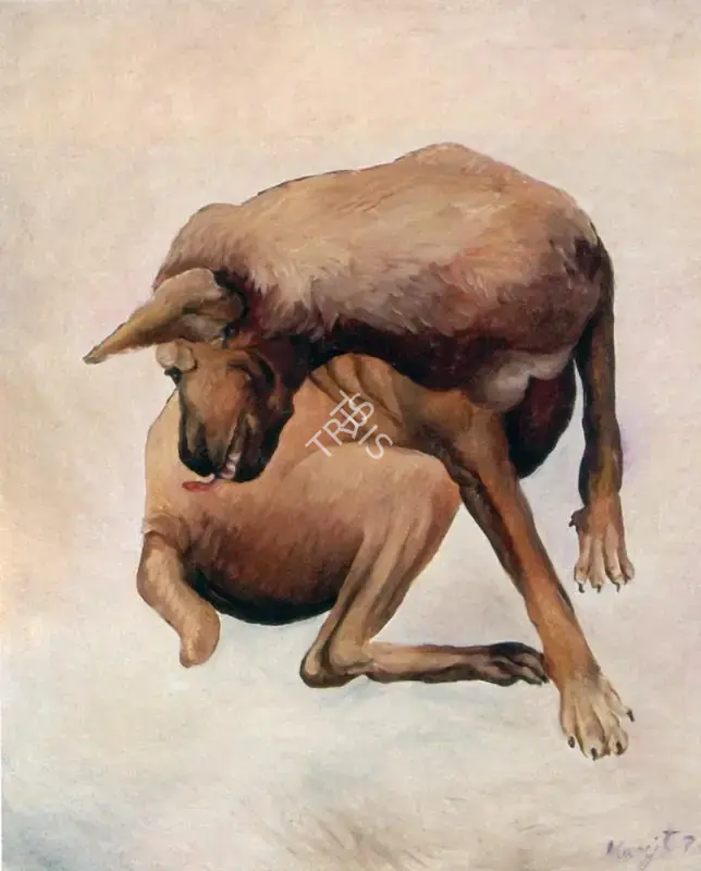 Manjit Bawa (Artist), Dog, 1990, Painting