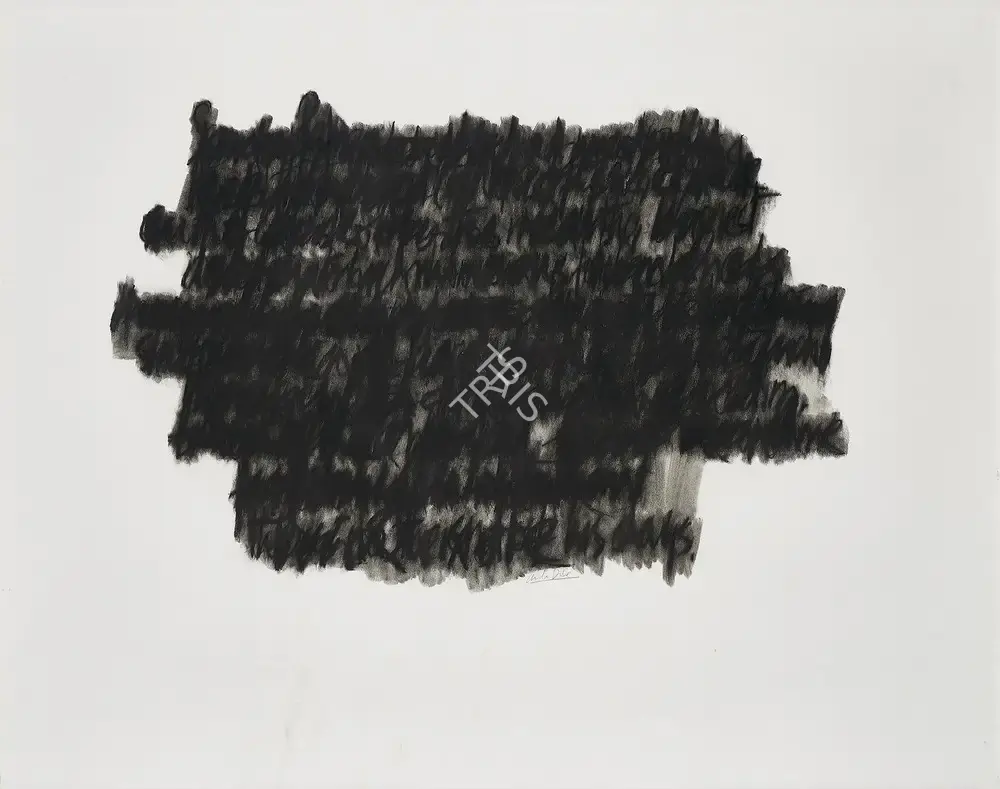 Anita Dube (Artist), Short Stories By Kafka - The Truth About Sancho Panzo, 2012, Painting