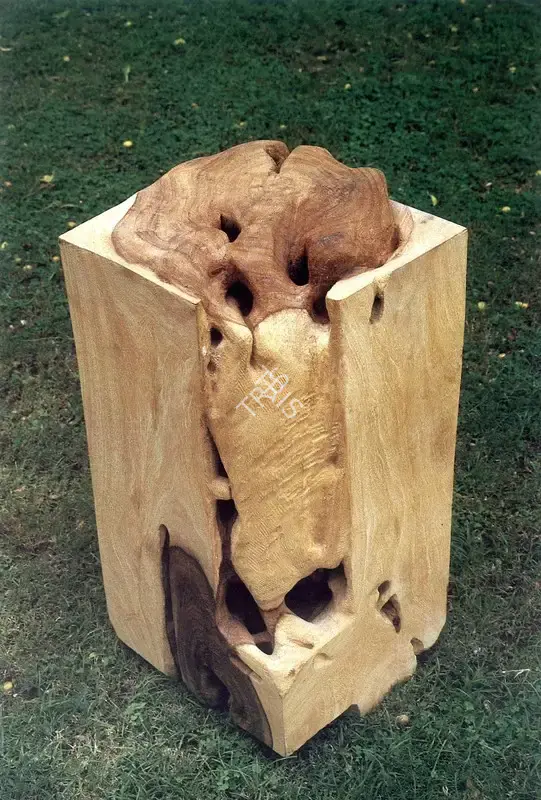 Latika Katt (Artist), Deterioration III, 1989, Sculpture