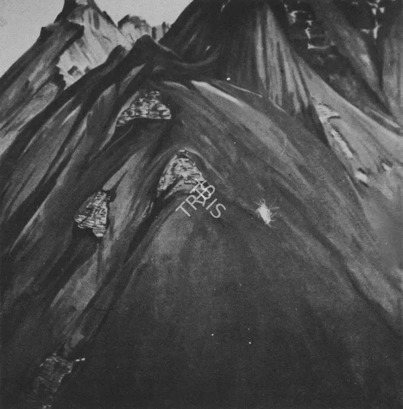 Serbjeet Singh (Artist), Untitled, Painting