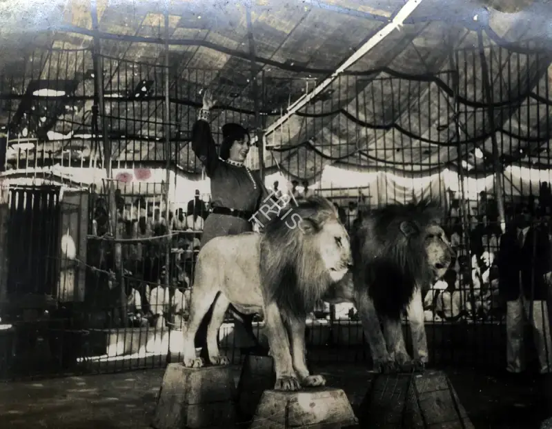 Anant Wadadeker (Cinematographer), Circuswale, 1950, Photographic Still