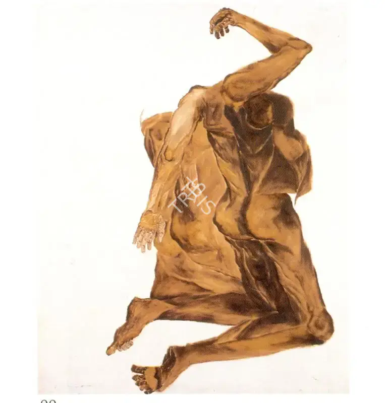 Shamshad Husain (Artist), Brown Figures, Painting
