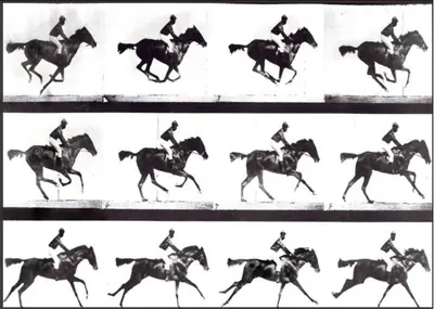 Muybridge, Eadweard (Director), The Horse in Motion, 1878 | Photographic Still | CinemaEducation | 00457671