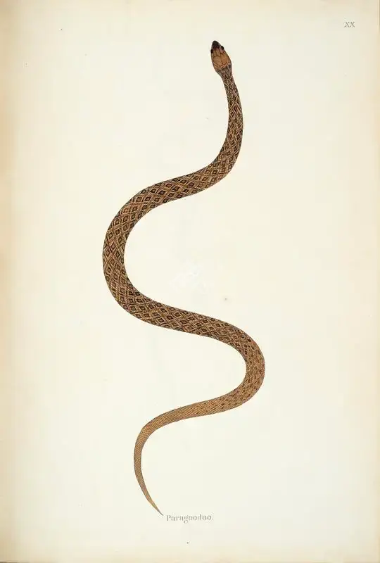 William Skelton (Engraver), Paragoodoo, 1796, Engraving