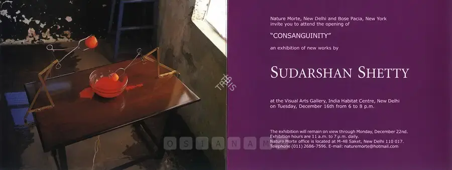 Sudarshan Shetty (Artist), "Consanguinity", 2003, Solo Exhibition Invitation