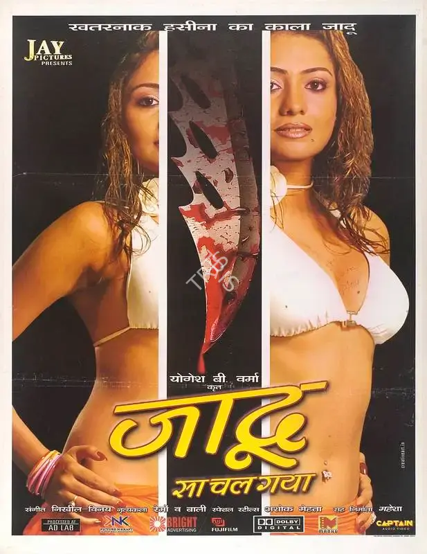 Yogesh B. Varma (Director), Jaadu Sa Chal Gaya, 2006, Full Sheet Poster