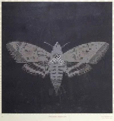 Baiju Parthan (Artist), Process (Hawkmoth), 2007, Print