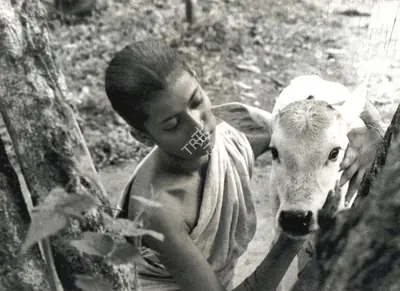 Subrata Mitra (Cinematographer), Pather Panchali, 1955, Photographic Still