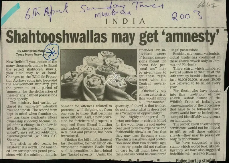 Chandrika Mago (Reporter), Shahtooshwallas may get 'Amnesty', 2003, Newspaper Clipping