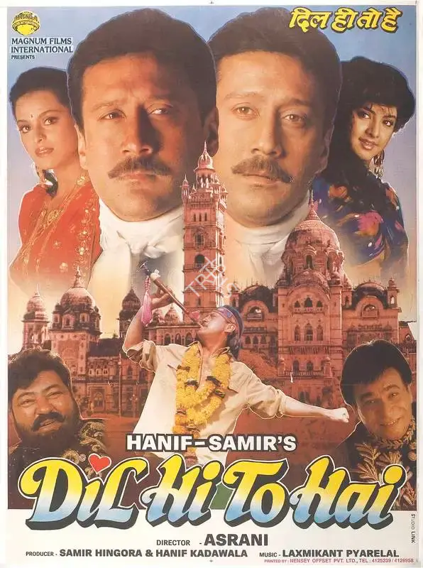 Samir Hingora (Producer), Dil Hi To Hai, 1993, Full Sheet Poster
