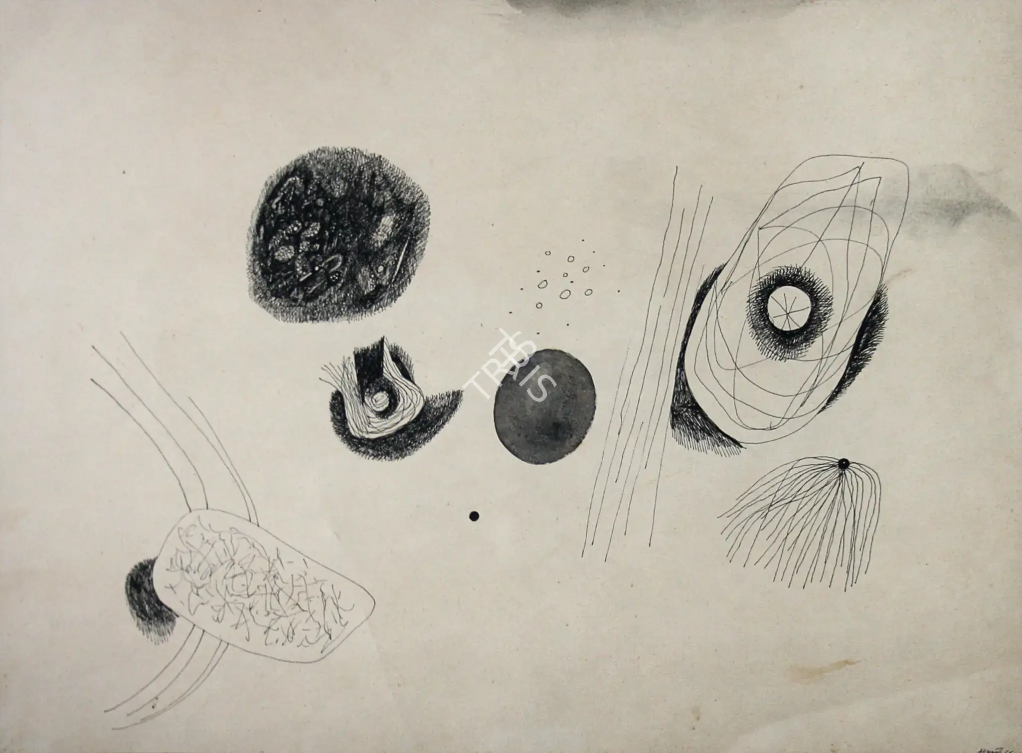 Himmat Shah (Artist), Untitled, 1966, Painting