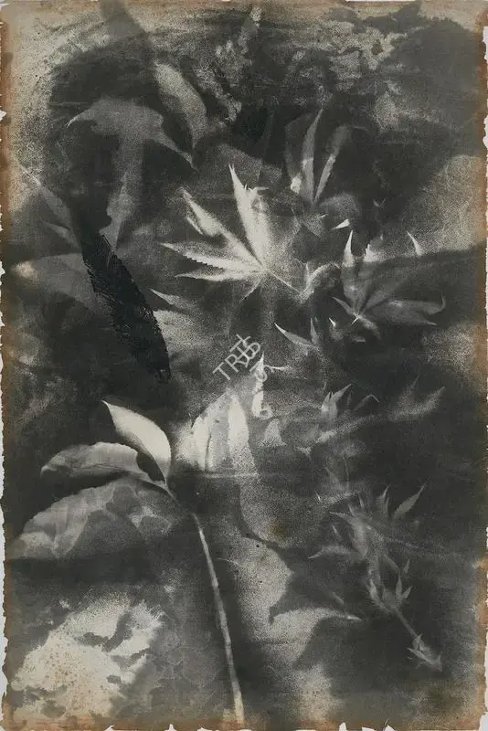 Krishen Khanna (Artist), Untitled, 1965, Painting