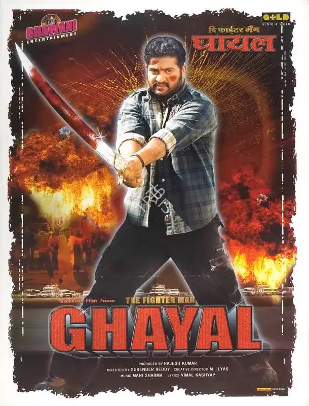 Rajesh Kumar (Producer), Ghayal The Fighter Man, 2006, Full Sheet Poster