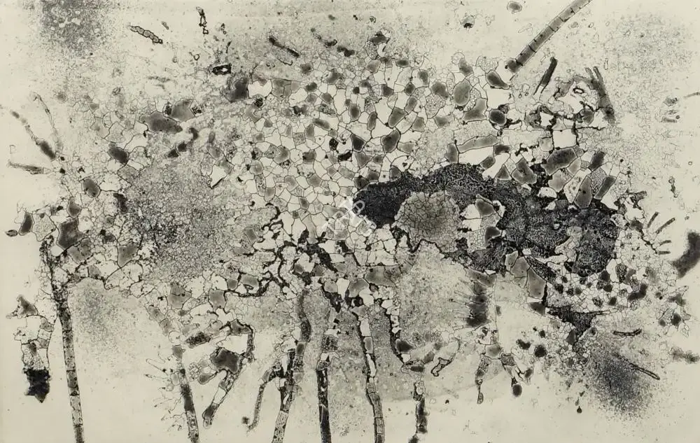 Pinaki Barua (Artist), Topography of a Village, 2008, Graphic Art