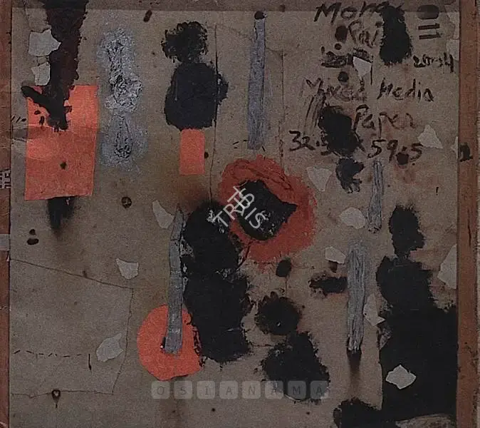 Mona Rai (Artist), Mona Rai, 2004, Solo Exhibition Catalogue