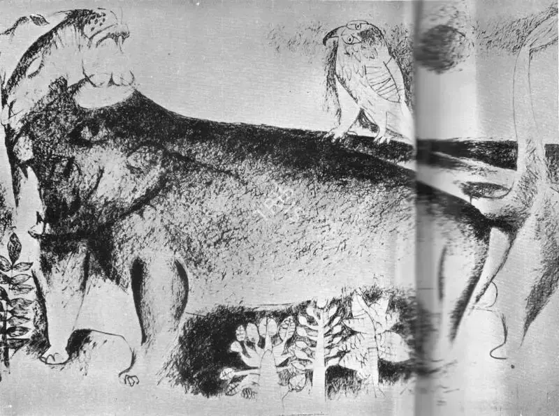 K.M. Adimoolam (Artist), Resting Spot, 1966, Drawing
