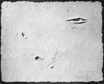Somnath Hore (Artist), Wounds-20, 1972, Drawing