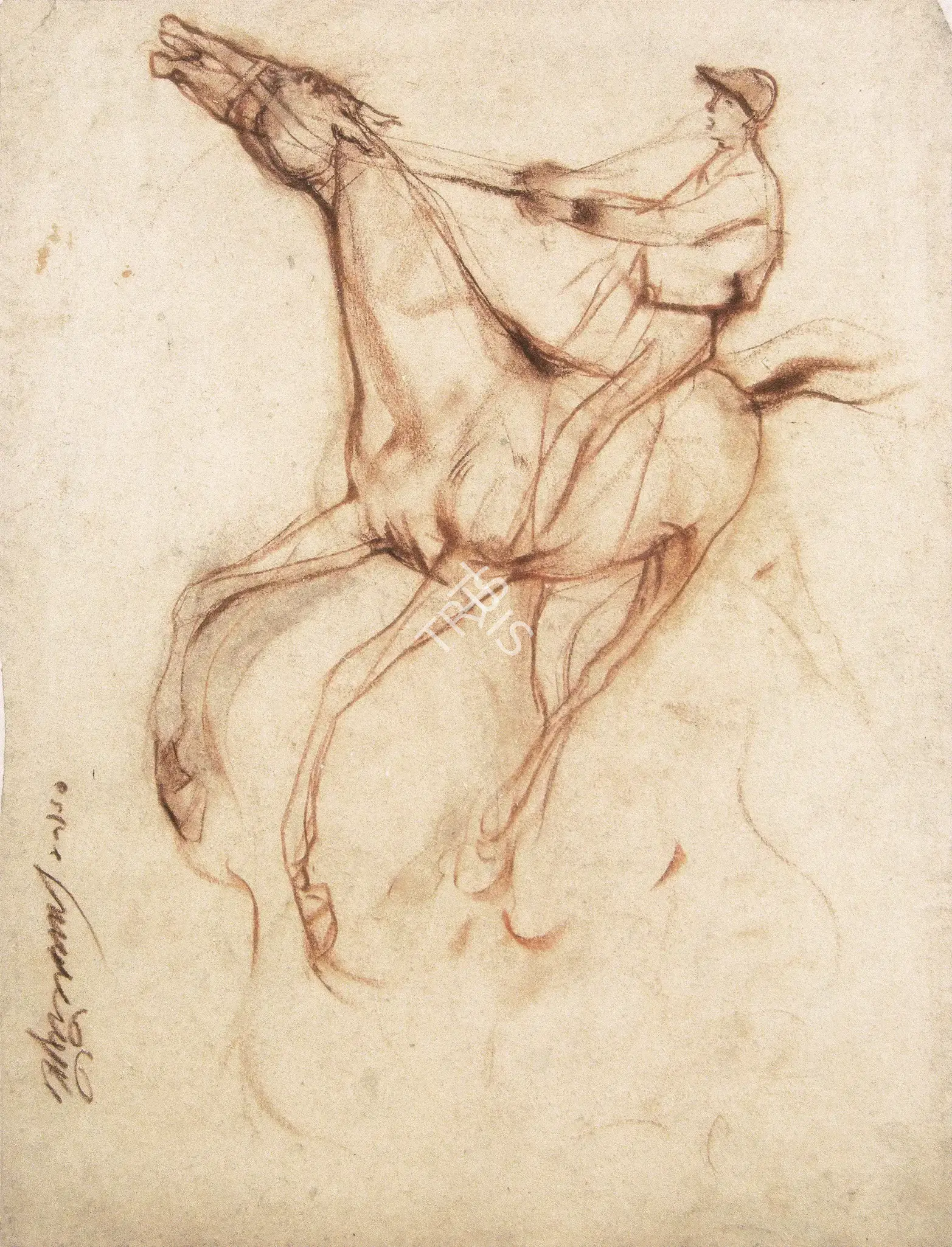 Sunil Das (Artist), Racing Horse Series, 1960, Drawing