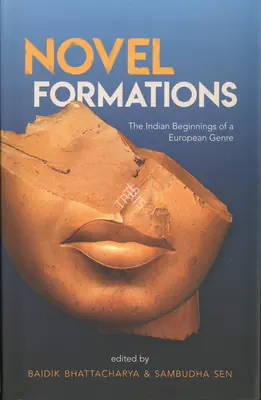 Sambudha Sen (Editor), Novel Formation, 2019, Edited Book
