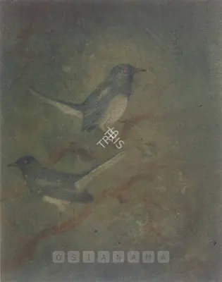 Abanindranath Tagore (Artist), Birds, Painting