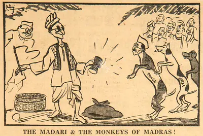 Basu Chatterjee (Cartoonist), The Madari & the Monkey of Madras !, 1952, Cartoons