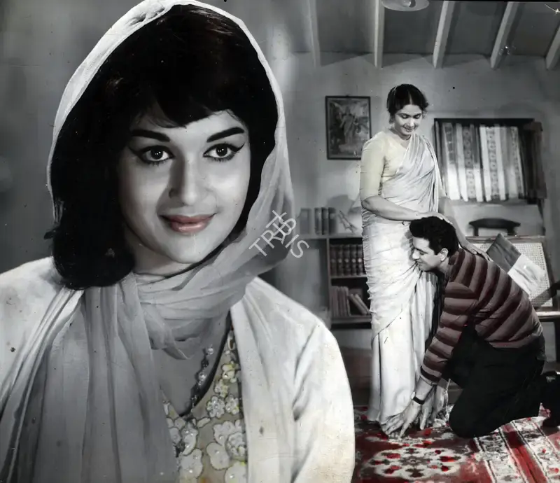 V. Babasaheb (Cinematographer), Aaye Din Bahaar Ke, 1966, Photographic Still