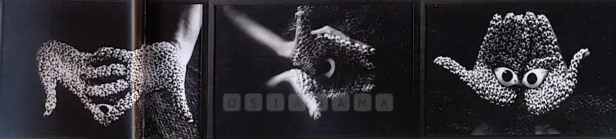 Anita Dube (Artist), Offering, 2000, Photograph