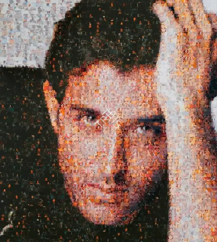 Rashid Rana (Artist), Ommatidia I (Hrithik Roshan), 2004, Print