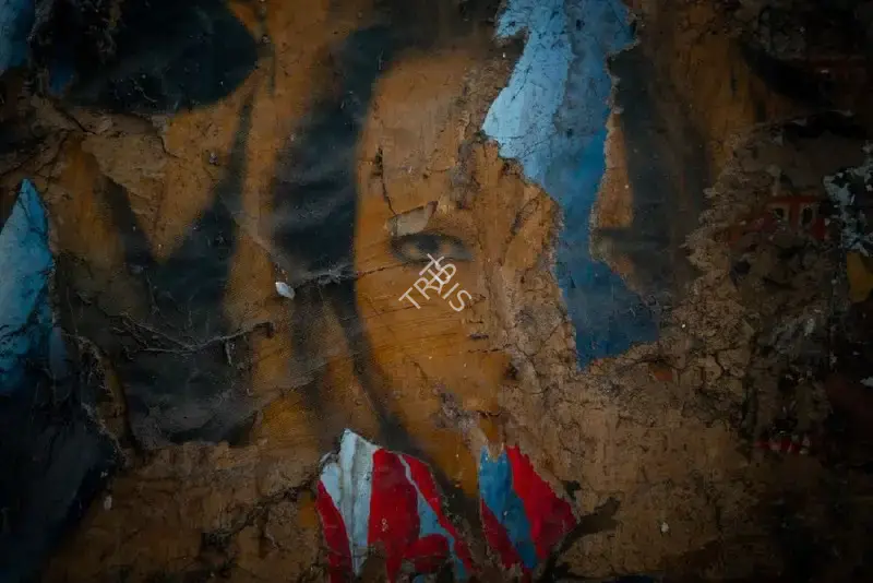 Hemant Chaturvedi (Photographer), Palace Talkies, Delhi- Torn Poster, 2024, Contemporary Photograph