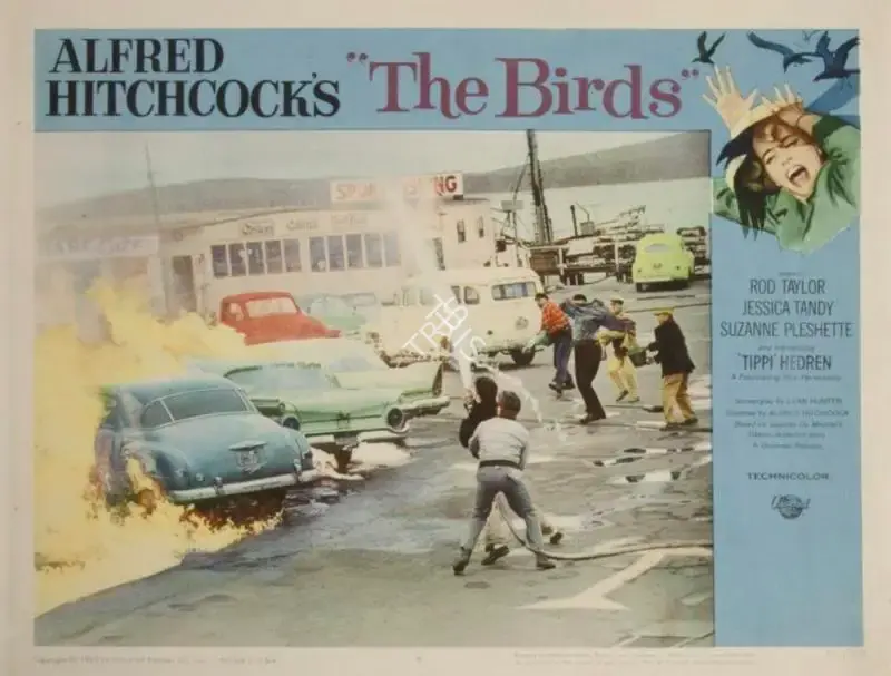 The Birds, Producer, Director, 1963