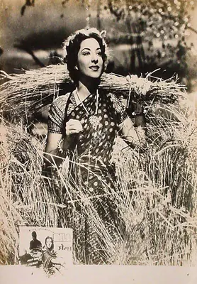 Fali Mistry (Cinematographer), Mela, 1948, Lobby Card