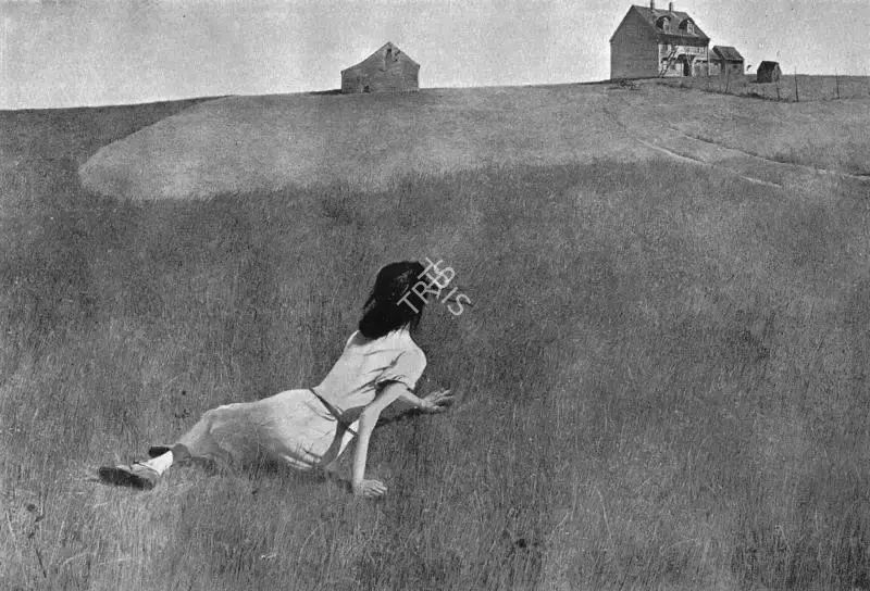 Andrew Wyeth (Artist), Christina's World, 1948, Painting