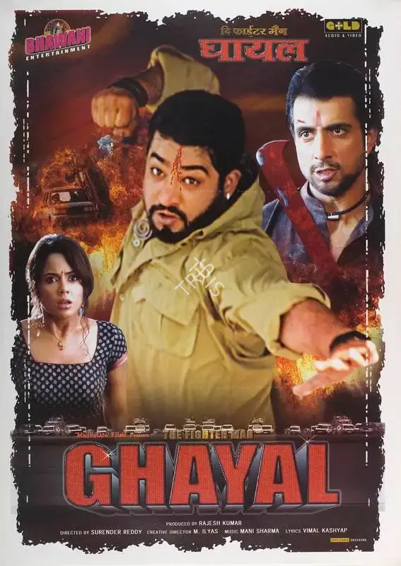 Rajesh Kumar (Producer), Ghayal The Fighter Man, 2006, Full Sheet Poster