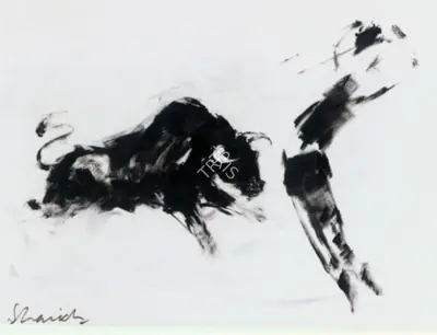 Aslam Shaikh (Artist), Bullfight, Painting