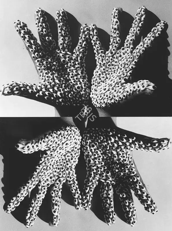 Anita Dube (Artist), Sea Creature, 2000, Print