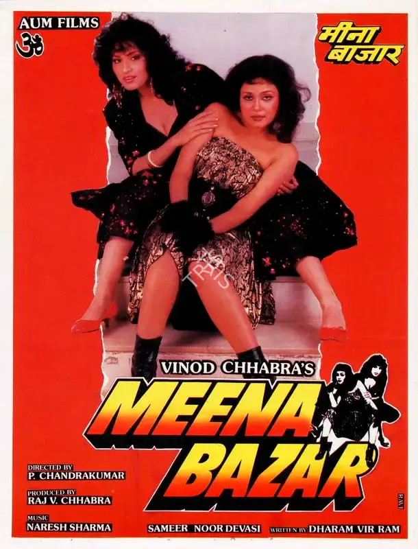 Raj V. Chhabra (Producer), Meena Bazar, 1991, Song-Synopsis Booklet