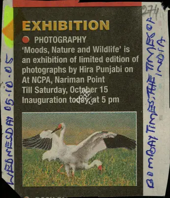 Exhibition, 2005, Newspaper Clipping